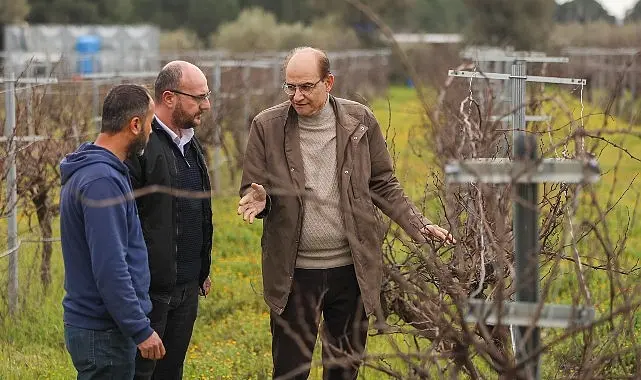 Buca Belediyesi, ilçe ile özdeşleşen razakı üzümünün üretimini yaygınlaştırmak, bilinirliğini