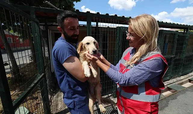 Bakırköy Belediyesi Veteriner İşleri Müdürlüğü, kurulmasının hemen ardından yoğun bir