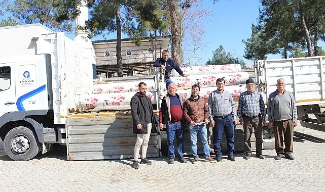 Antalya Büyükşehir Belediyesi’nin üreticilere destekleri sürüyor. Büyükşehir Belediyesi yağış ve