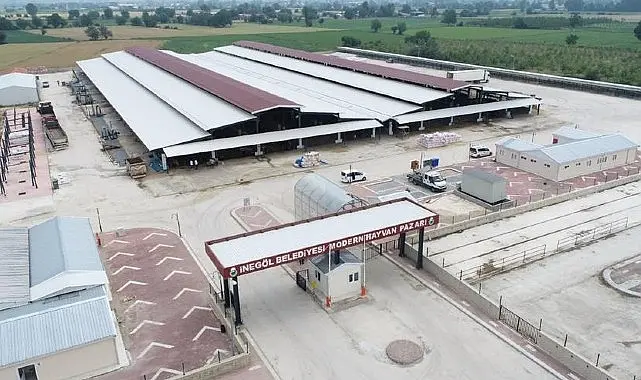 İl genelinde görülen şap hastalığı nedeniyle 27 Ocak tarihinde tedbir