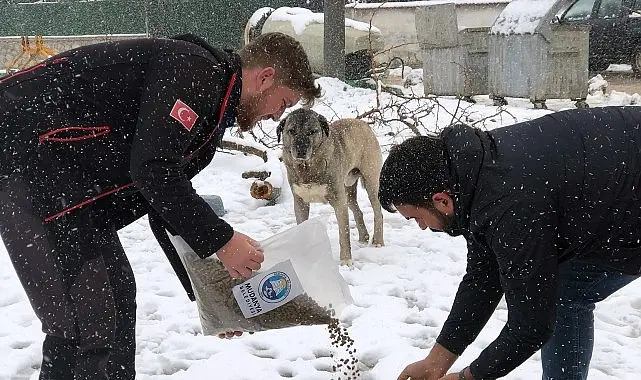 Mudanya Belediyesi, etkili olan kar yağışı sonrası vatandaşların ve sokak
