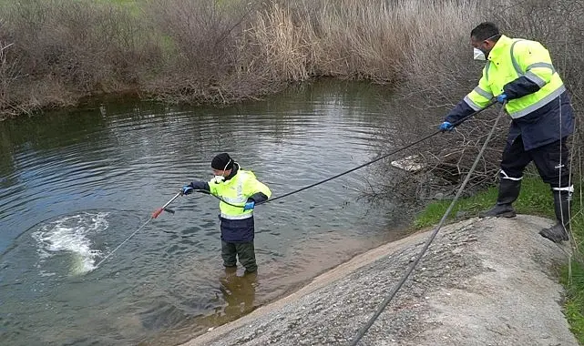İzmir Büyükşehir Belediyesi sivrisineklere yönelik mücadelesini yıl boyunca sürdürüyor. 30